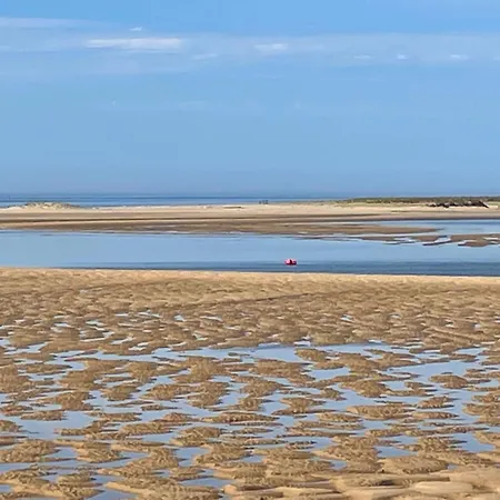 Feriehus Mobilhome Amira 40m2 - Cc781 Les Charmettes 4 Stars Les Mathes