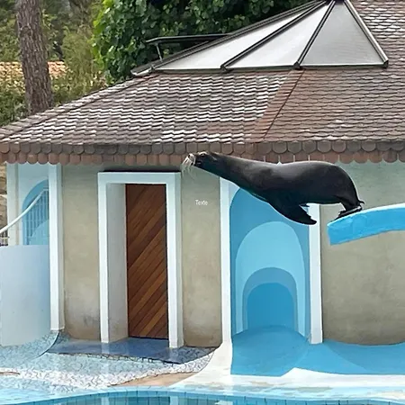 Mobilhome Amira 40m2 - Cc781 Les Charmettes 4 Stars Feriehus Les Mathes